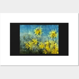 Dramatic Forsythia Posters and Art